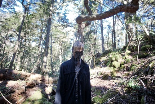 1 aokigahara 2 jpg jpeg