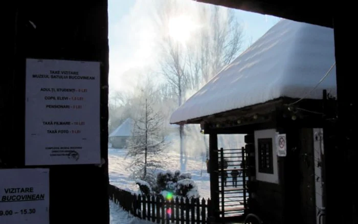 Ritualul tăierii porcului în Bucovina