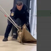 Captură de ecran 2026 09 19 100514 png
