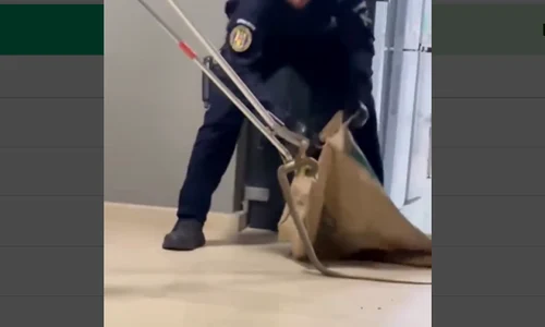 Captură de ecran 2026 09 19 100514 png