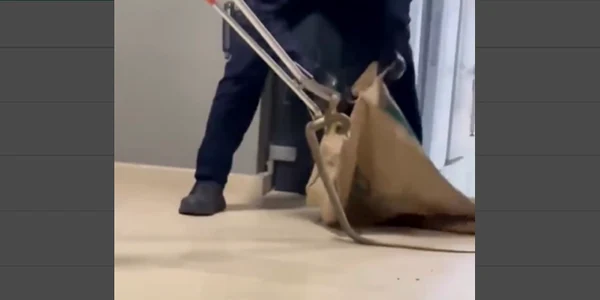 Captură de ecran 2026 09 19 100514 png