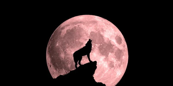 Luna rosie. foto shutterstock