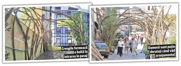 Foto: Dorin Constanda