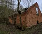 Satul Stăuini, Hunedoara, decembrie 2023 Foto Daniel Guță ADEVĂRUL (35) jpg