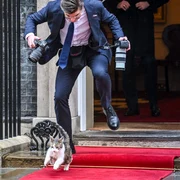 fotograf polonia jpg