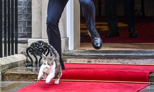 fotograf polonia jpg