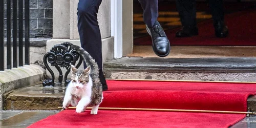 fotograf polonia jpg