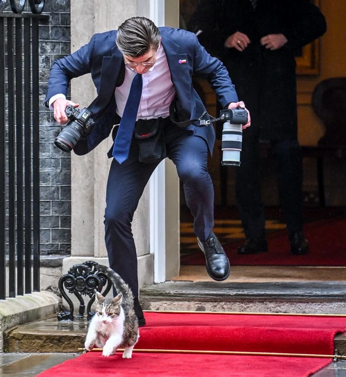 VIDEO Momentul în care fotograful președintelui Poloniei s-a împiedicat de Larry, celebrul motan de la reședința premierului britanic
