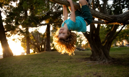 shutterstock 2098504801 jpg