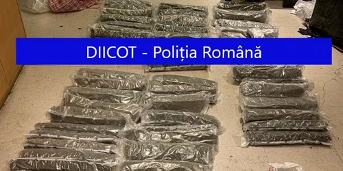 Procurorii DIICOT au reţinut patru persoane suspectate de trafic de droguri foto diicot