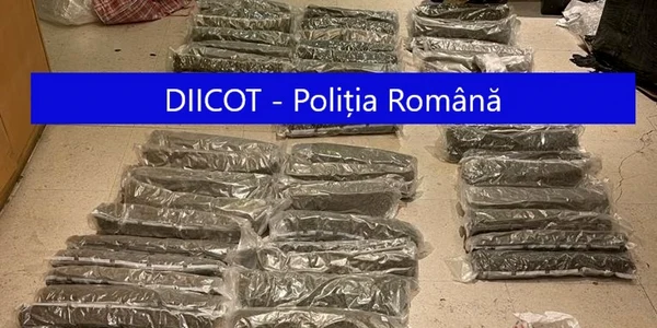 Procurorii DIICOT au reţinut patru persoane suspectate de trafic de droguri foto diicot