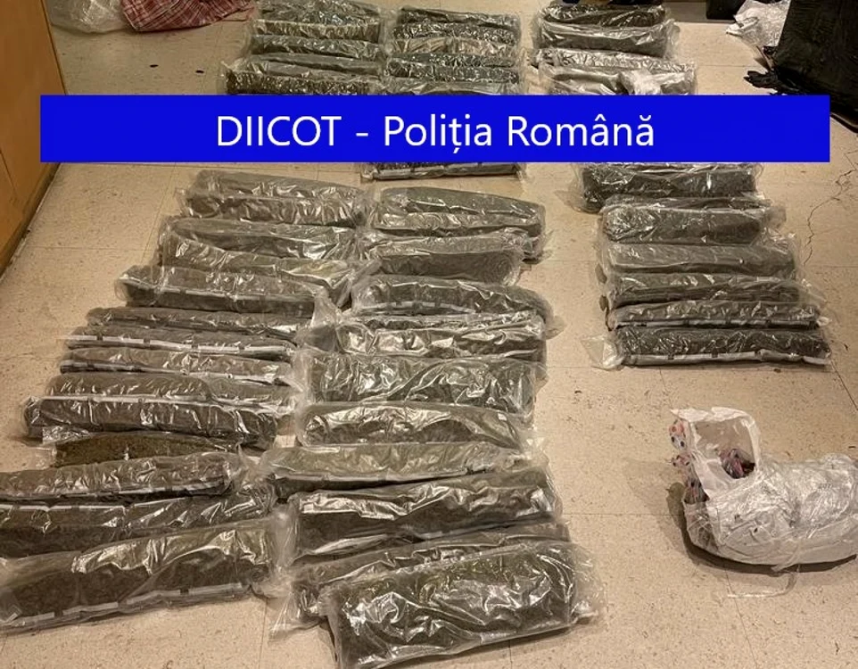 DIICOT: În urma cercetărilor efectuate au mai fost ridicate aproximativ 52 de kilograme de cannabis Foto: DIICOT