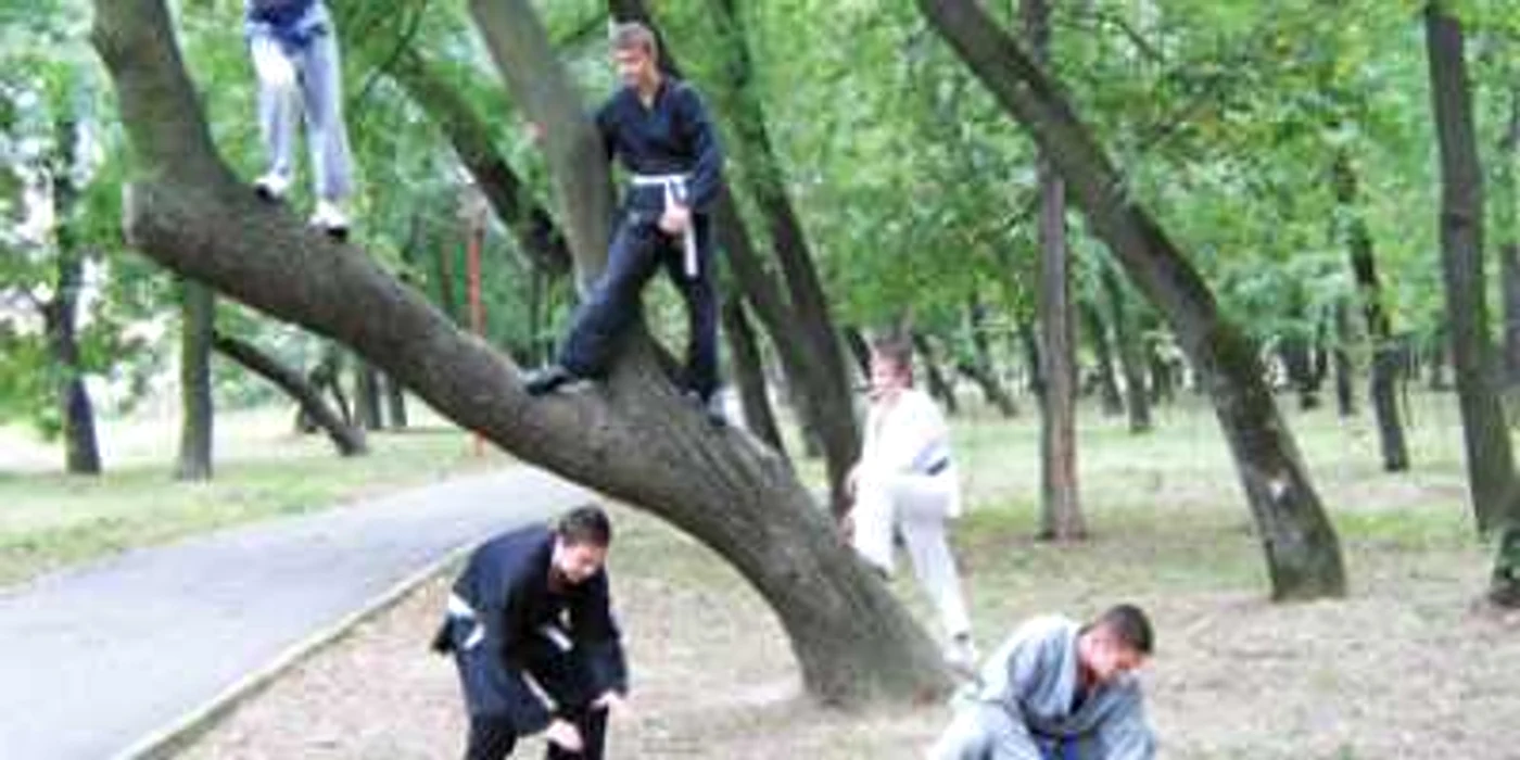 Antrenamente ninja, în Pădurea Crihala
