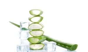 aloe jpeg