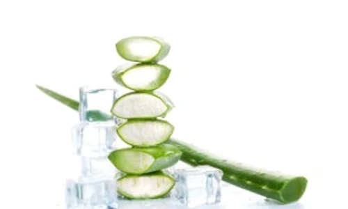 aloe jpeg
