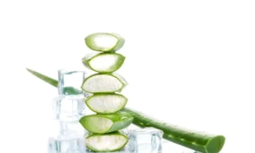 aloe jpeg