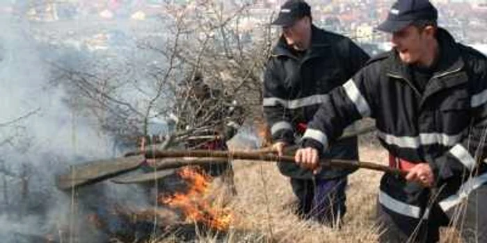 Pompierii au intervenit imediat pentru a stinge focul