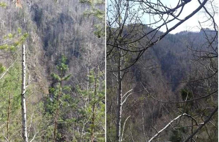 Canionul de Cascade Vultureasa din Munţii Căpăţânii - Vâlcea - salvamontişti în căutarea unor urme în cazul abandonării unor echipamente montane Foto Adevărul - credit Salvamont Vâlcea