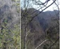 Canionul de Cascade Vultureasa din Munţii Căpăţânii - Vâlcea - salvamontişti în căutarea unor urme în cazul abandonării unor echipamente montane Foto Adevărul - credit Salvamont Vâlcea