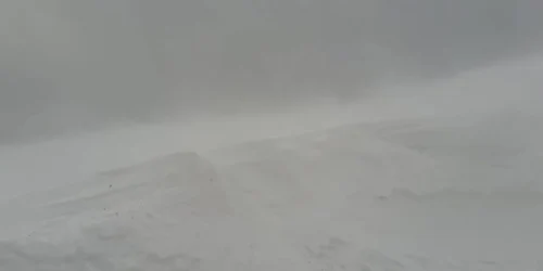 61f69b0b5163ec4271536578 jpg