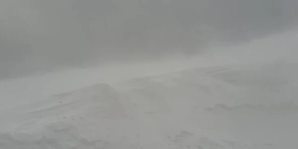 61f69b0b5163ec4271536578 jpg