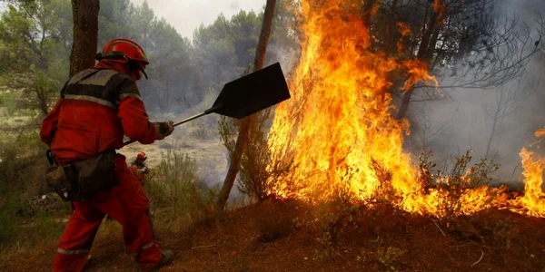 Incendii de vegetaţie în Insulele Canare