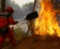 Incendii de vegetaţie în Insulele Canare