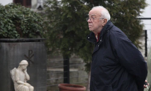 Alexandru Arsinel