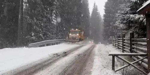 61aa0f4c5163ec427132a091 jpg