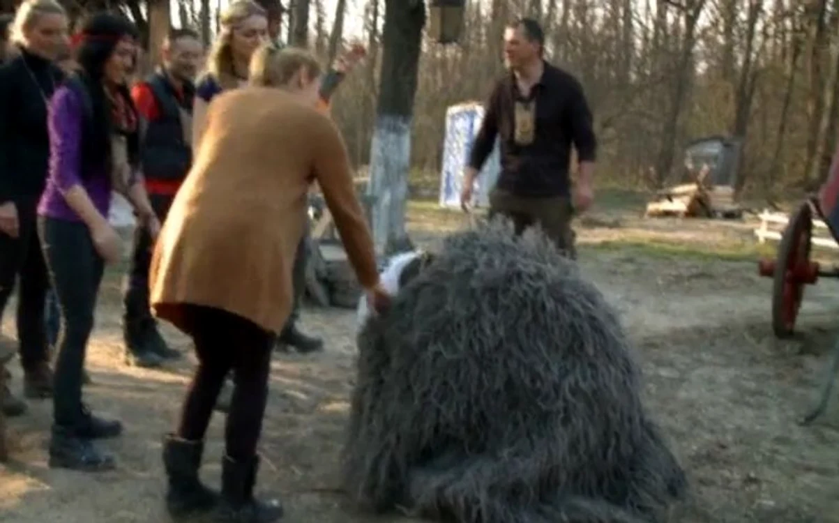 
    Concurenţii de la "Ferma Vedetelor" au cântat celebra piesă a lui Joe Cockerfoto: captură Pro Tv  