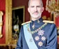 Regele Felipe al VI-lea