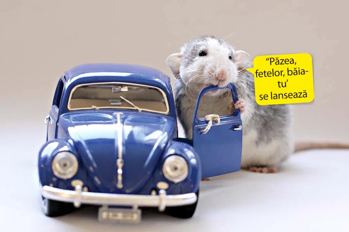 
    “Păzea,  fetelor, băiatu’  se lansează  la şosea!” (fotografii: caters/pfotoland)  