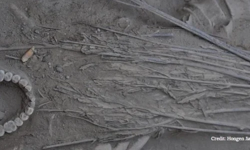 Descoperire inedită: rămășițe umane vechi de 2500 de ani, acoperite cu canabis jpeg