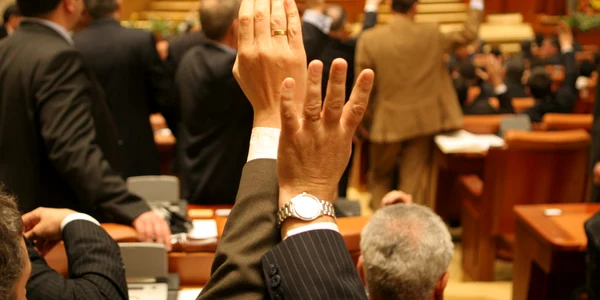 vot in camera deputatilor motiune simpla finante jpeg