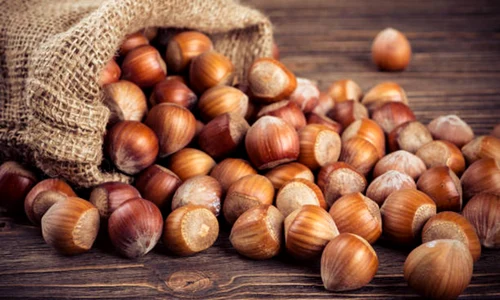 alune de padure istock jpg