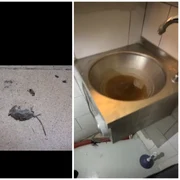 restaurant constanta amendat de ANPC foto FB Horia Constantinescu