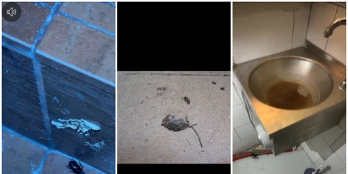 restaurant constanta amendat de ANPC foto FB Horia Constantinescu