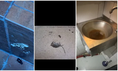 restaurant constanta amendat de ANPC foto FB Horia Constantinescu