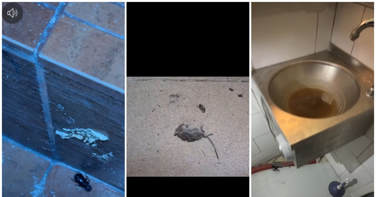 Restaurant închis temporar de ANPC din cauza unui șoarece mort și mizerie alarmantă. Restaurant închis temporar de ANPC din cauza unui șoarece mort și mizerie alarmantă.