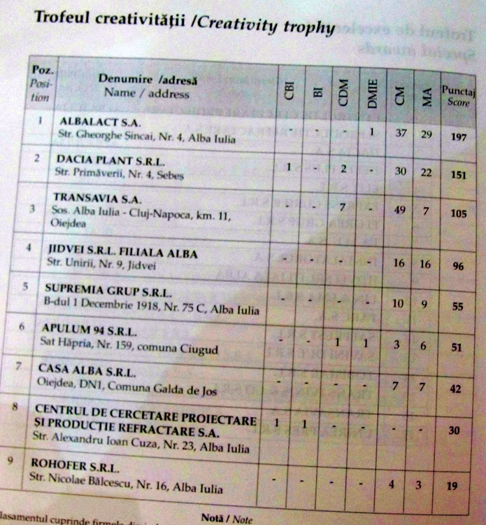 Topul firmelor 2010