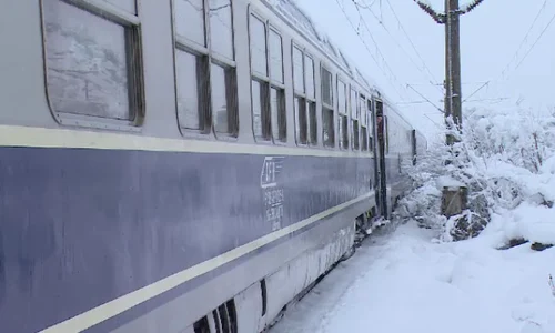 tren in camp 0 png