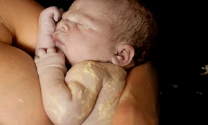 shutterstock 99349979 jpeg