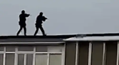 lunetisti gif