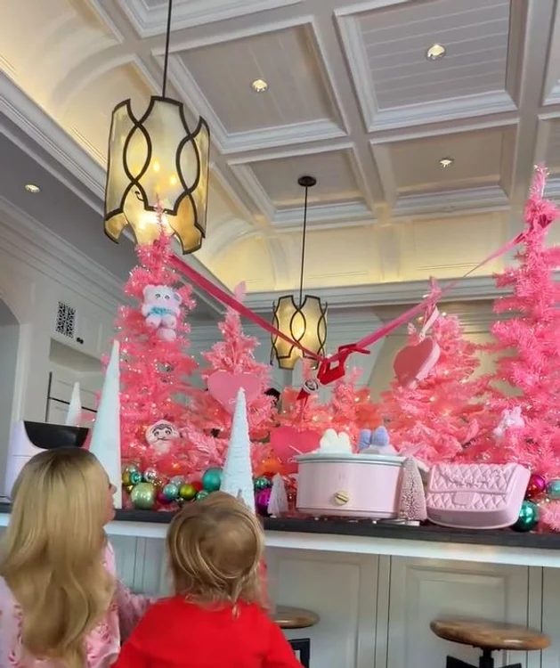 Brazii lui Paris Hilton (foto: Instagram)