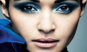 CLIIMA20121119 0012 1 jpeg