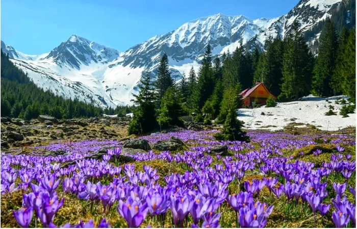 Așa arăta înainte colțul de Rai FOTO Horia Petrovan