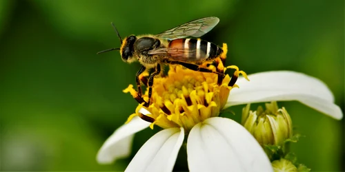 shutterstock 2101641370 jpg