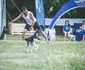 Mutat la tară Fest Foto mutatlatara ro jpg
