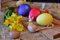 ritae eggs 2119329 jpg