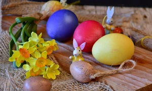 ritae eggs 2119329 jpg